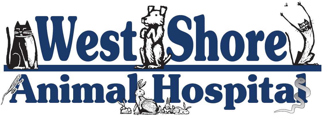 West Shore Animal Hospital