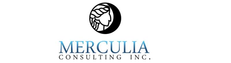 MERCULIA CONSULTING INC