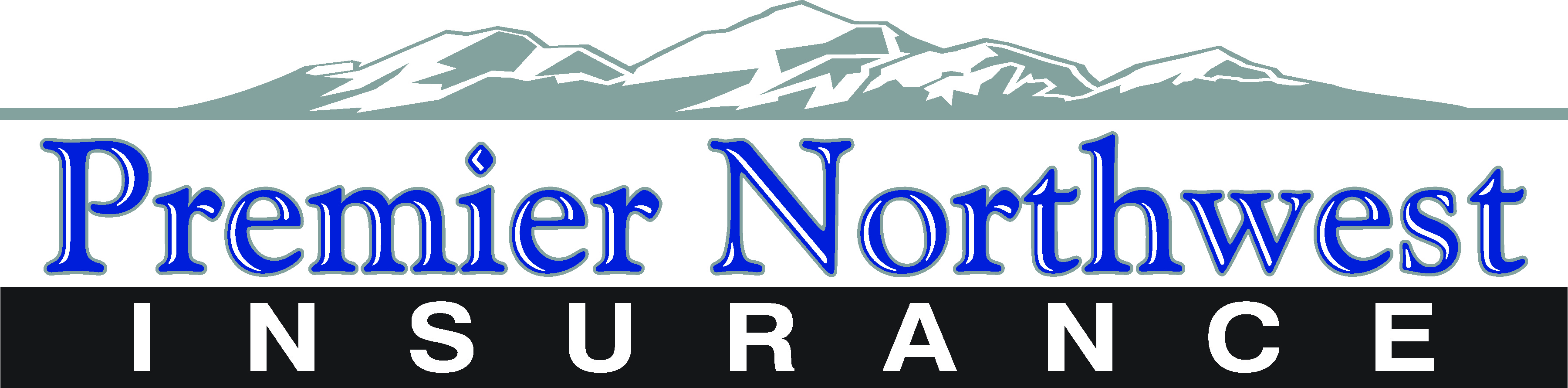 Snack Sponsor - Premier NW Insurance - Logo