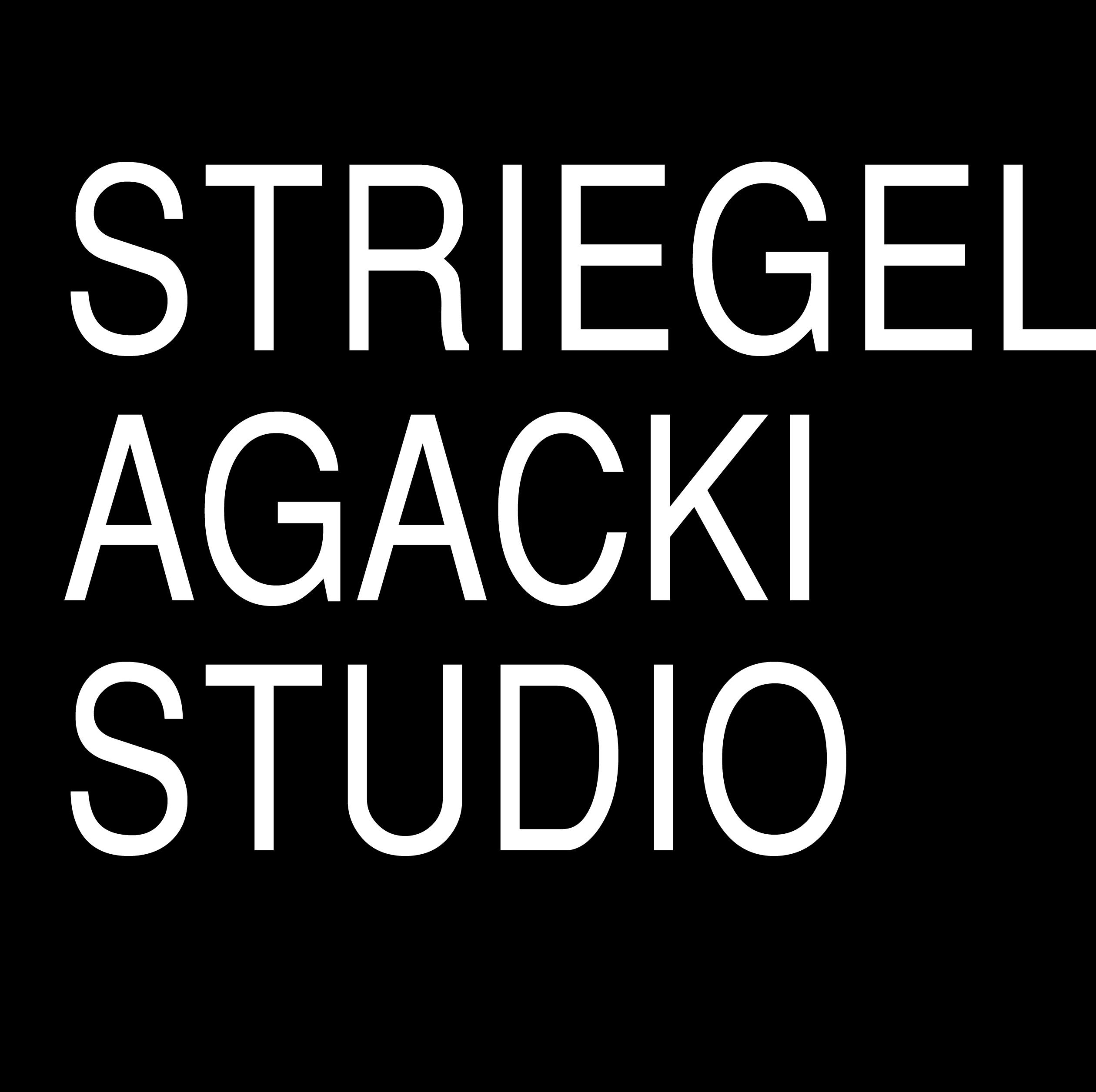 Hole Sponsor - Striegel Agacki Studio - Logo