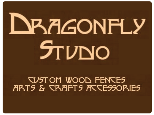 Hole Sponsor - Dragonfly Studio  - Logo