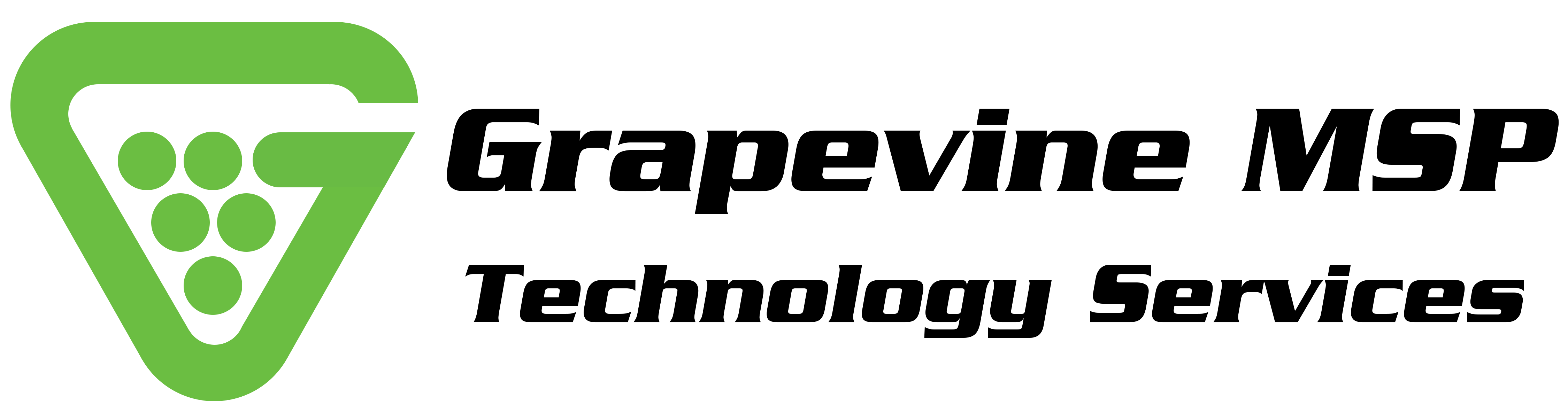 Grapevine MSP Technology Services