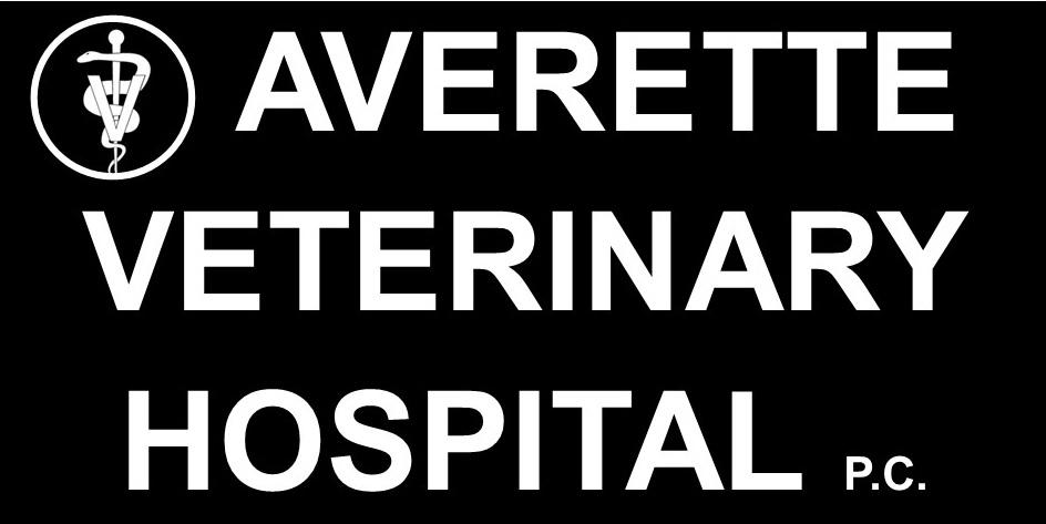 Averette Veterinary Hospital