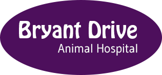 Bryant Drive Animal Hospital