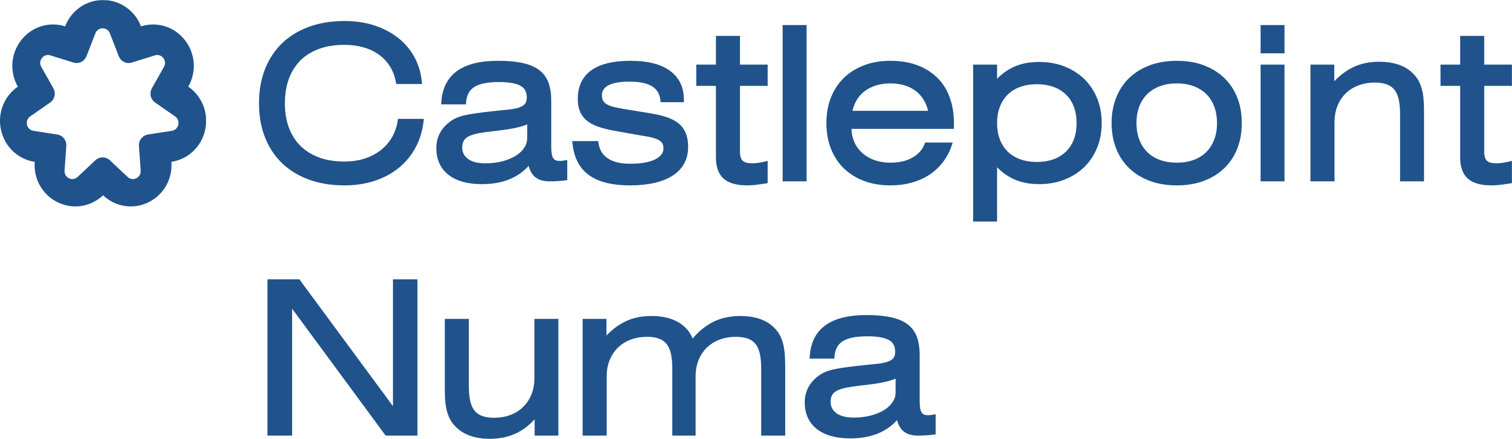 Sponsors - Castlepoint Numa - Logo