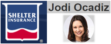 Black & Gold - Shelter Insurance - Logo