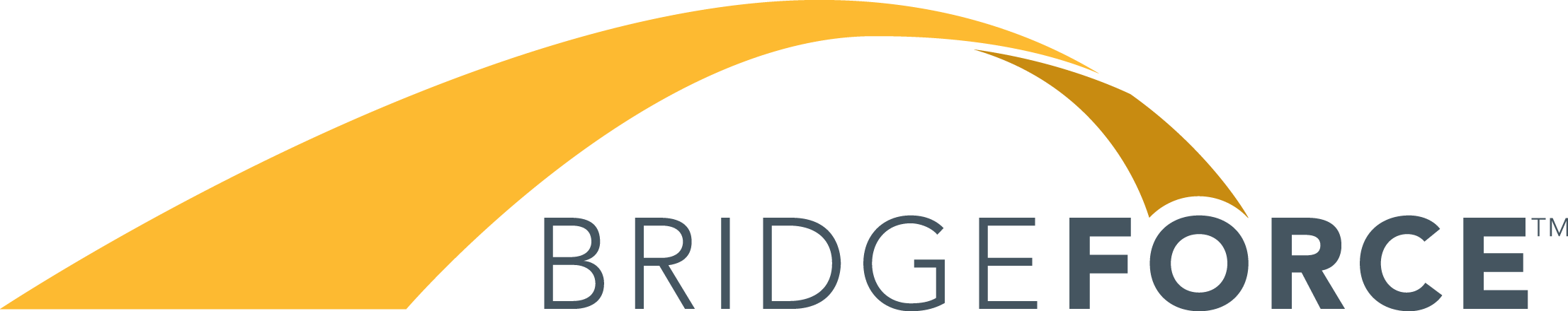 BridgeForce