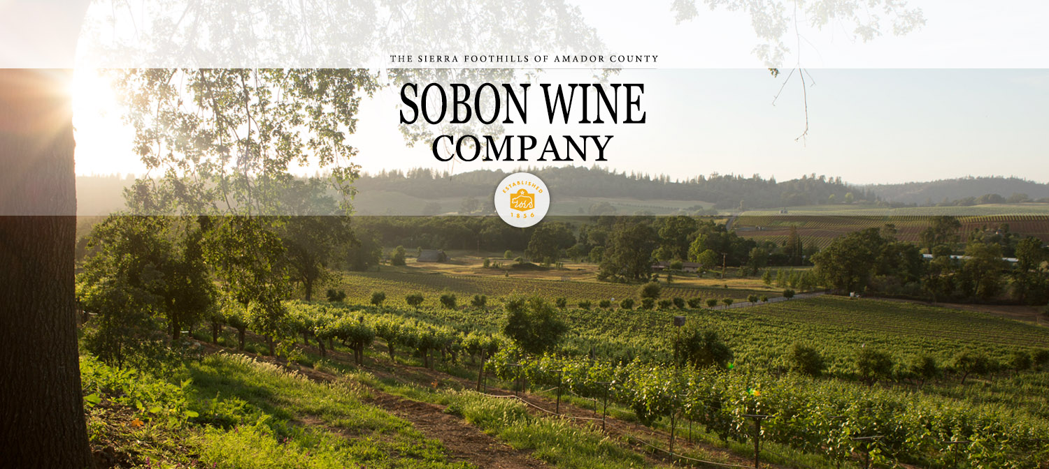 Sobon Vineyards