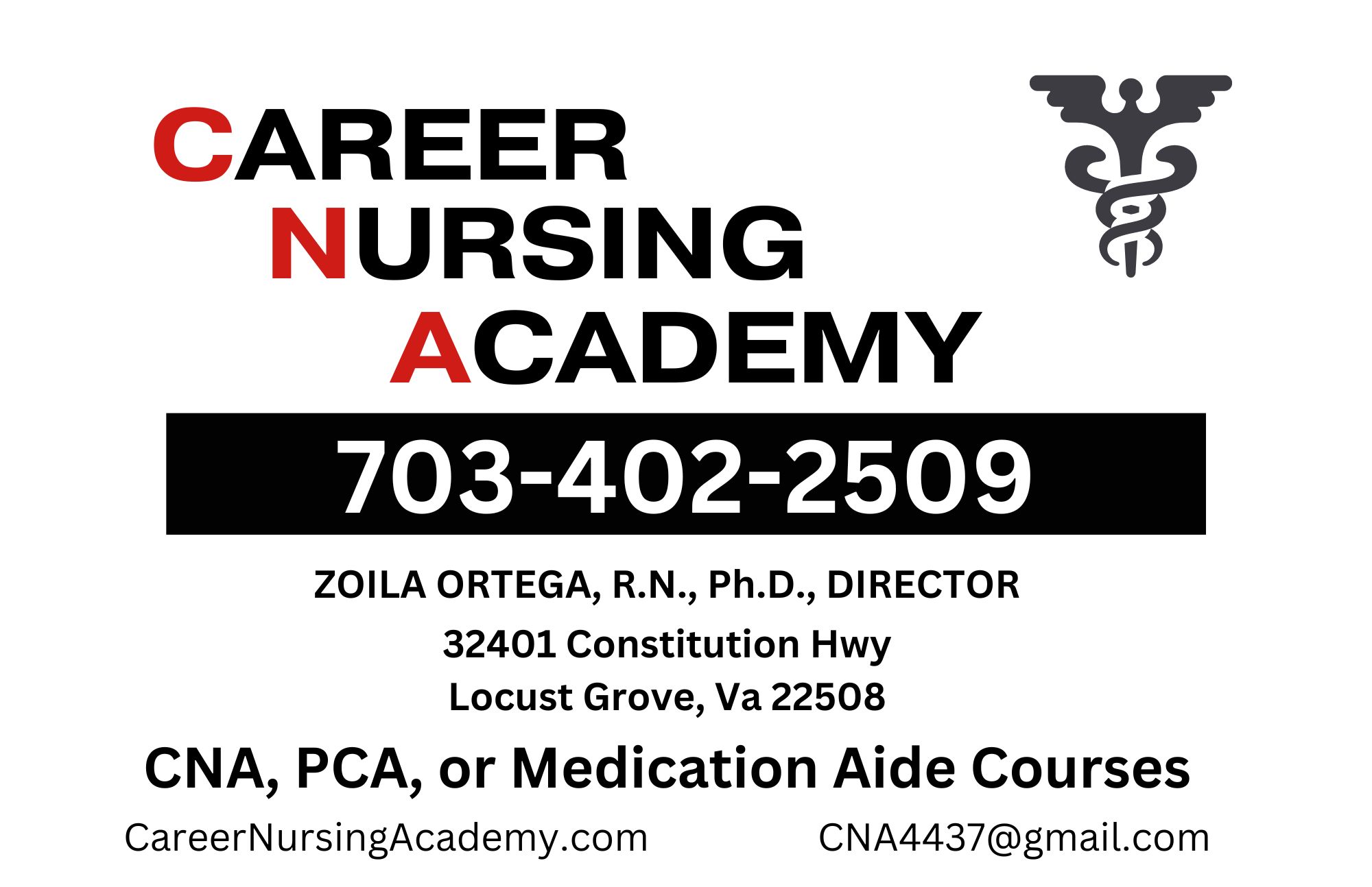 Career Nursing Academy