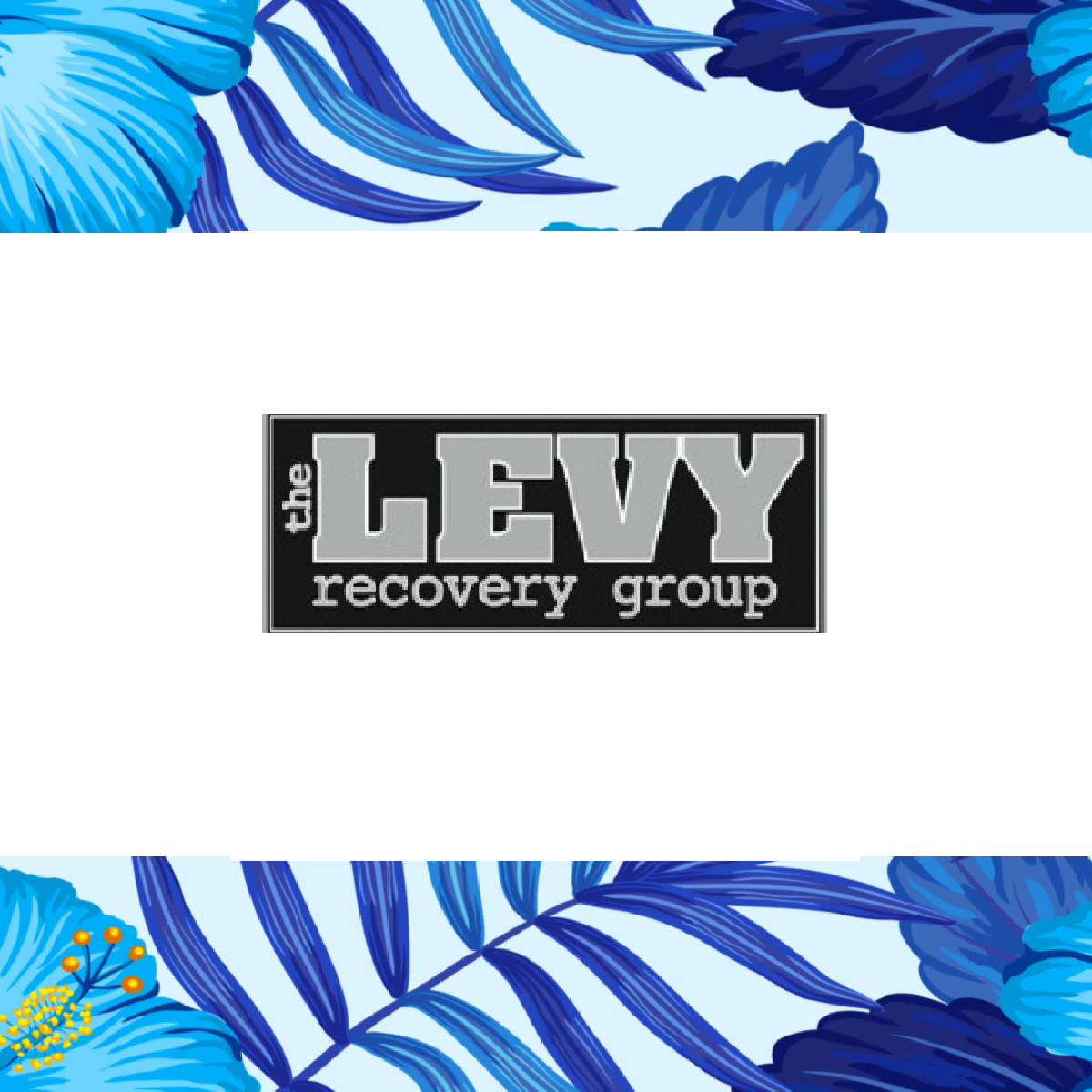 SPONSOR - LEVY RECOVERY GROUP - Logo