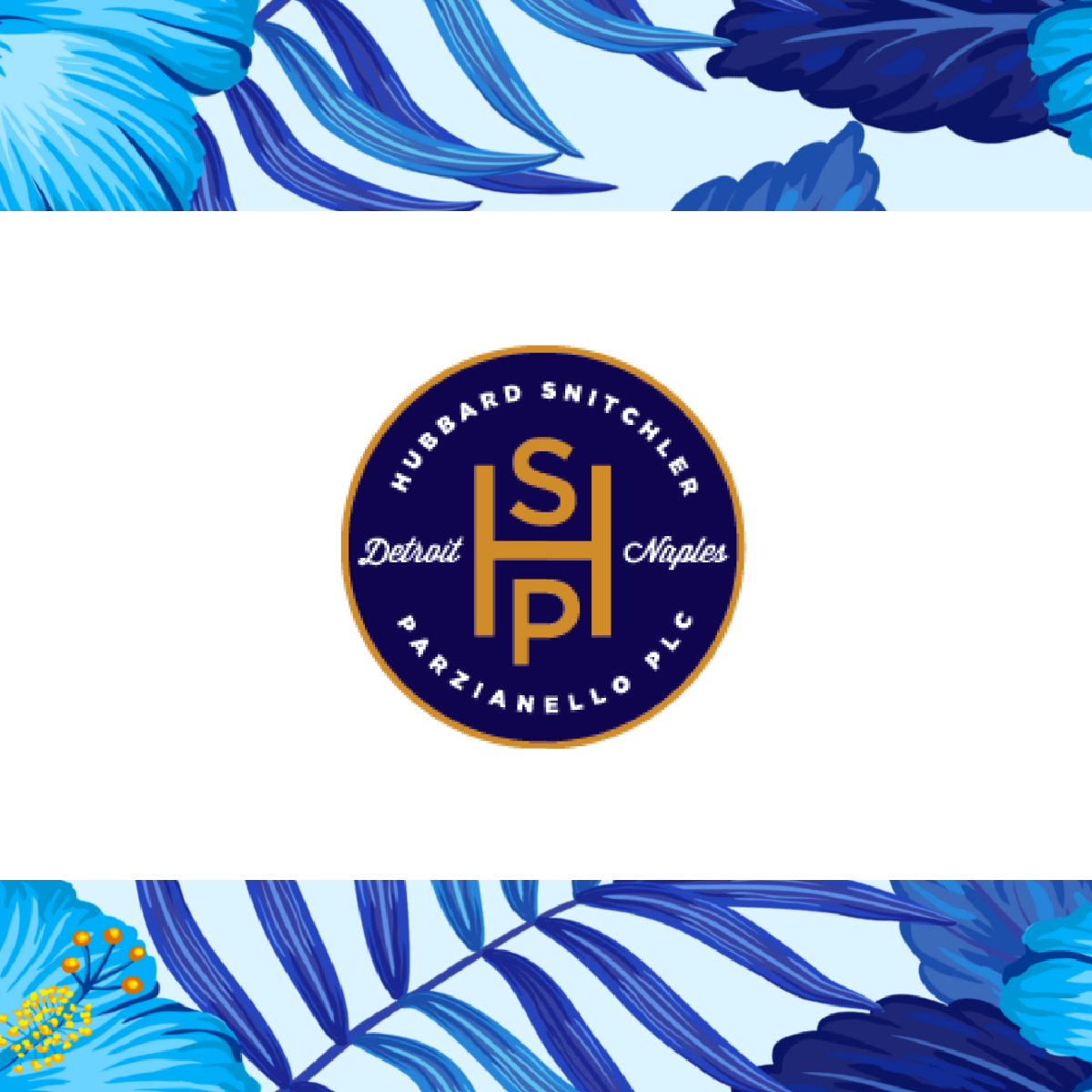 SPONSOR - HUBBARD SNITCHLER & PARZIANELLO PLC - Logo