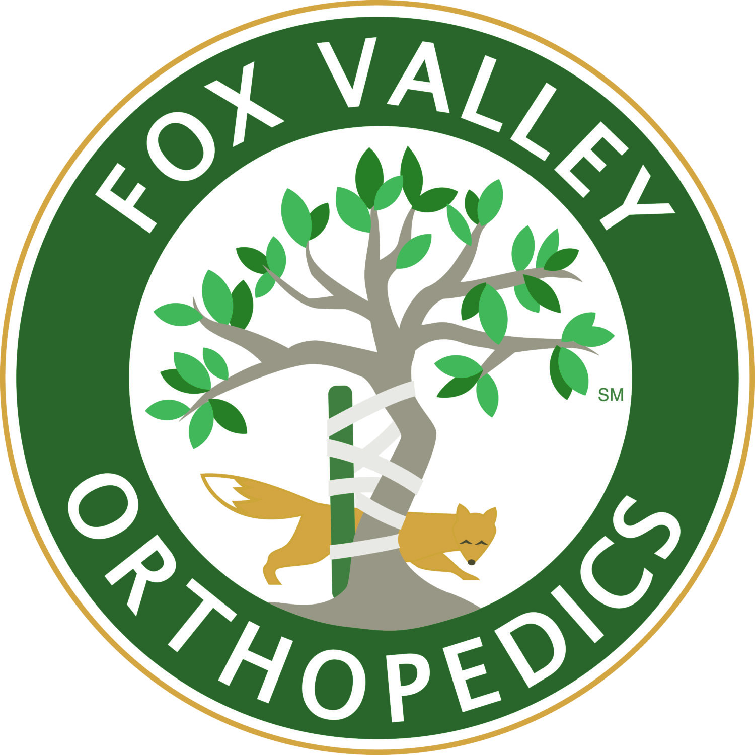 Hole Sponsor - Fox Valley Orthopedics  - Logo