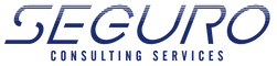 SEGURO Consulting Services 