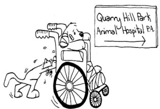 Quarry Hill Park Animal Hospital