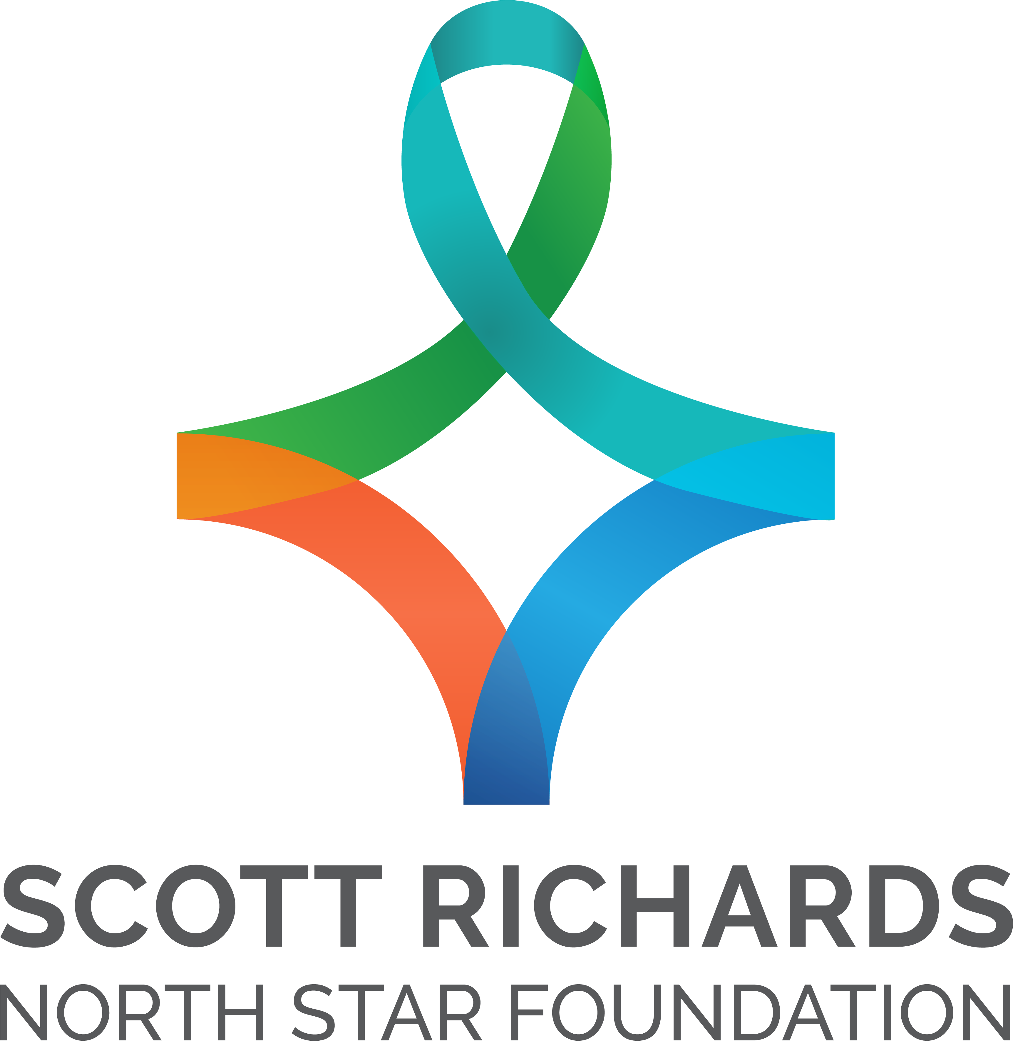 Gold Sponsor - North Star Foundation  - Logo