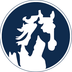 White Horse Car Wash