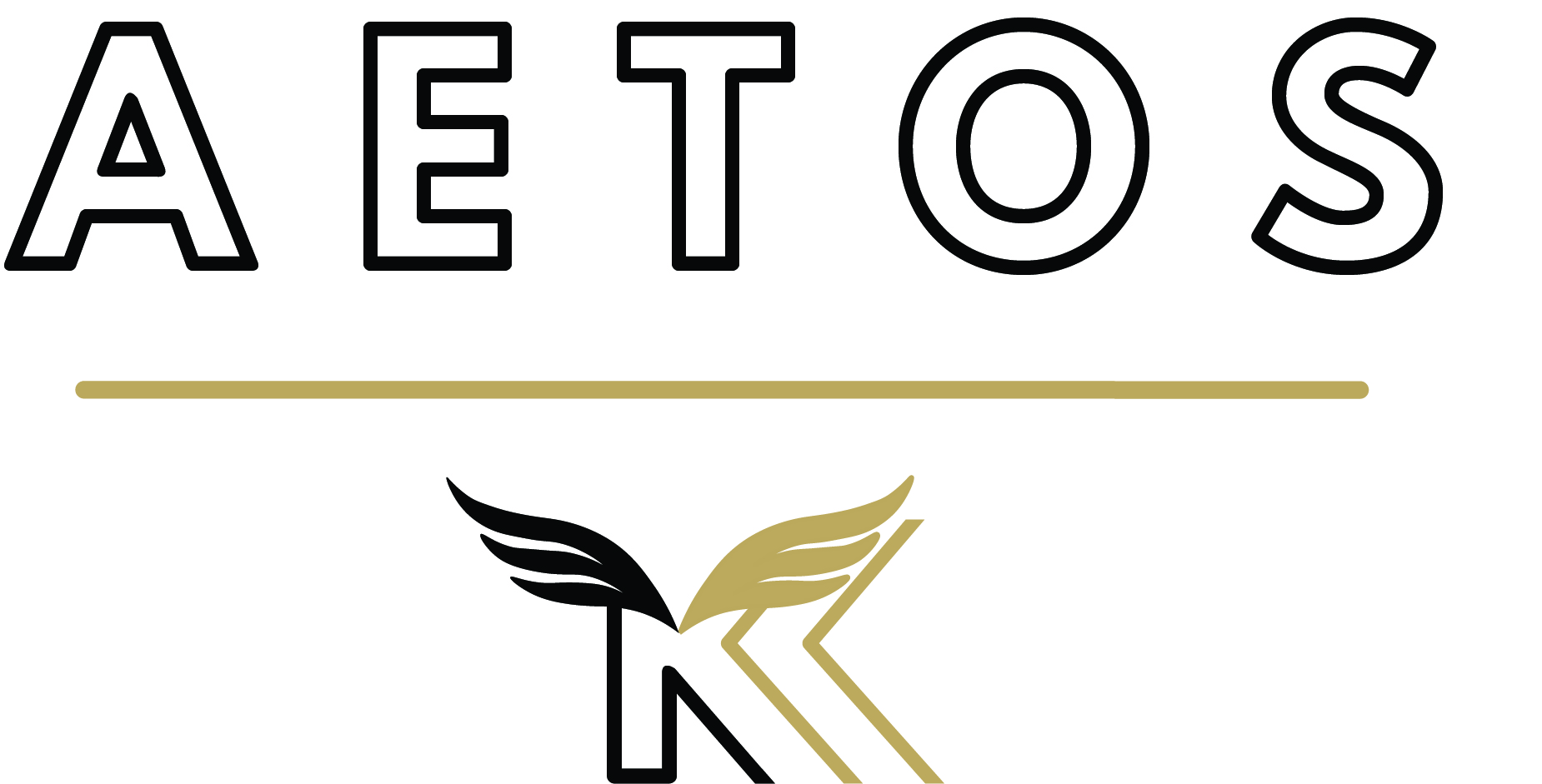 Platinum Sponsor - Aestos - Logo