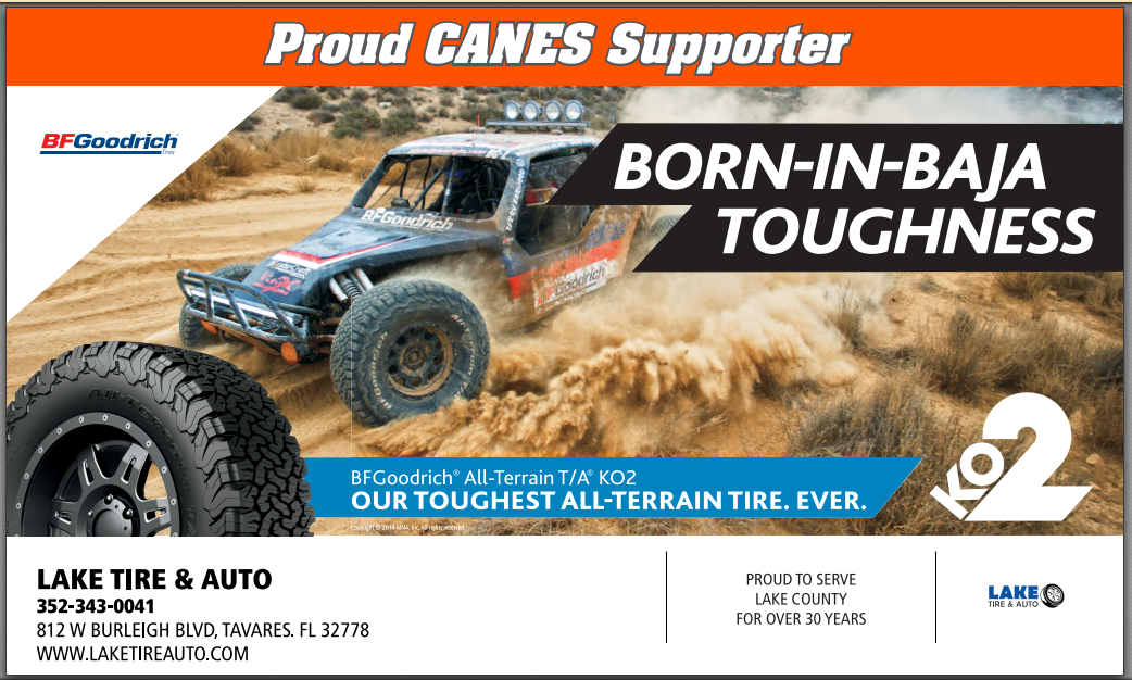 Category V  - Lake Tire and Auto  - Logo