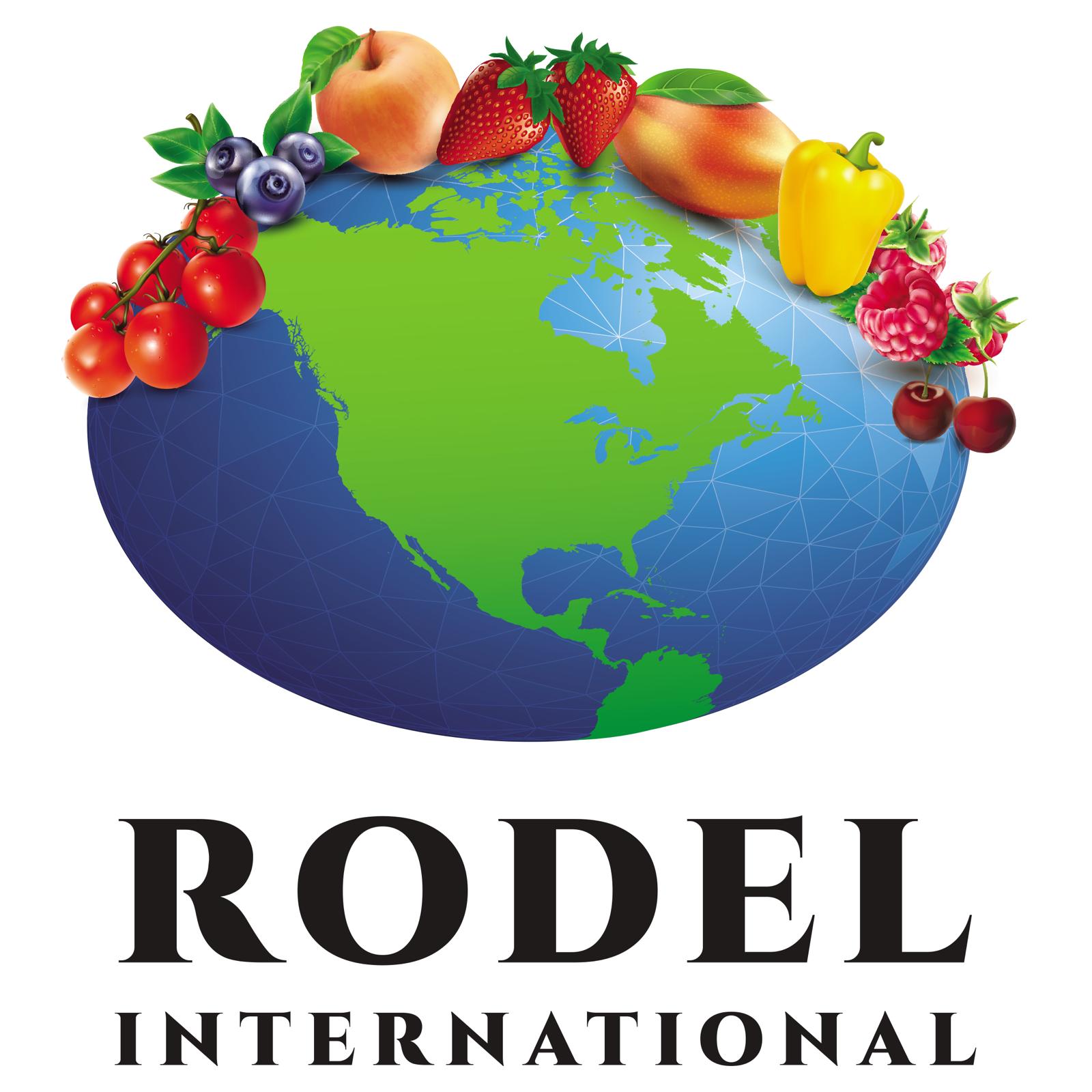 Rodel International