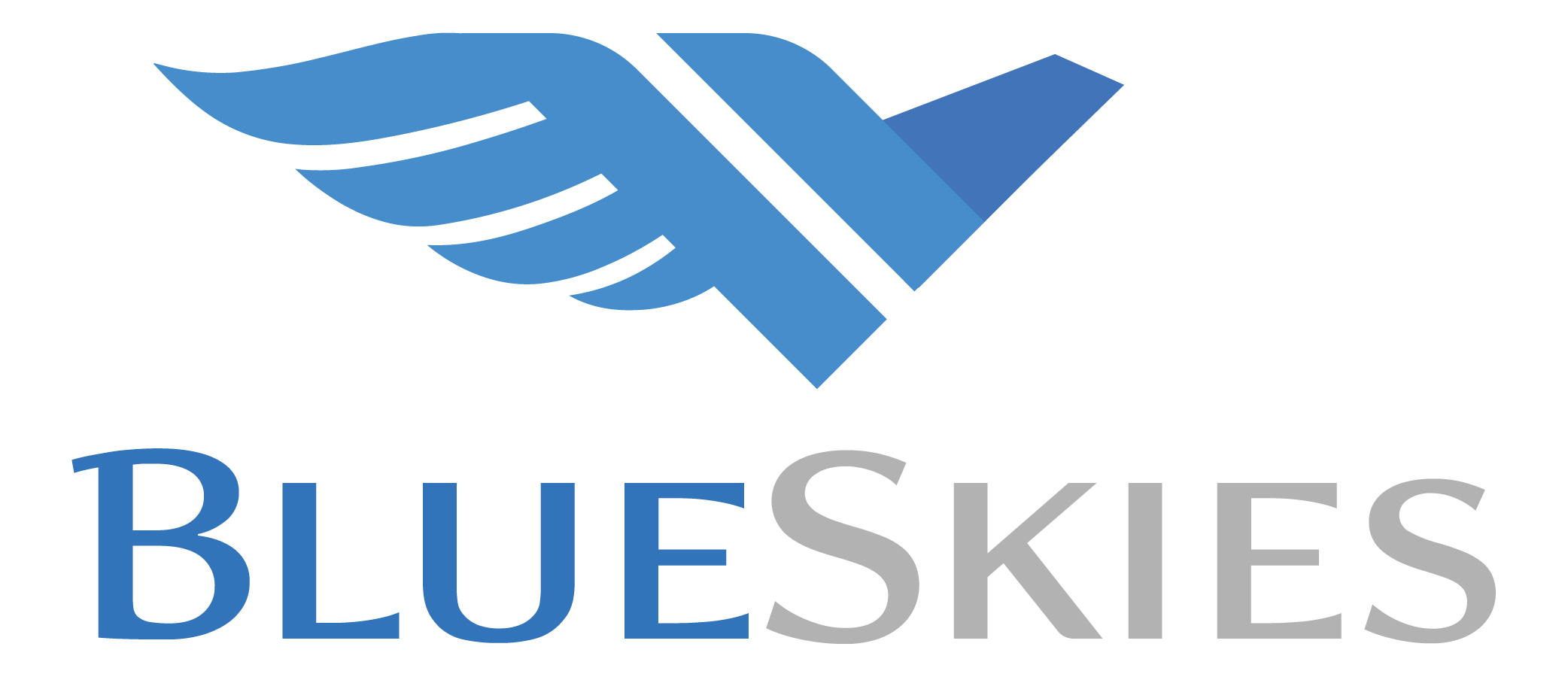 Silver - Blue Skies Aviation - Logo