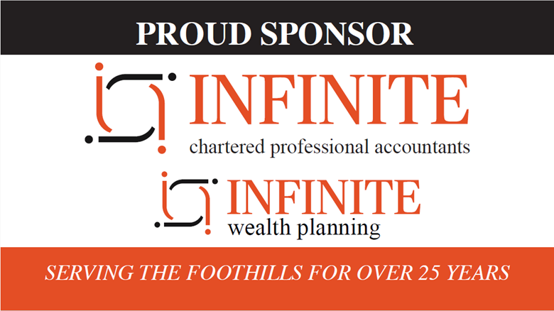 Infinite Chartered Professional Accountants