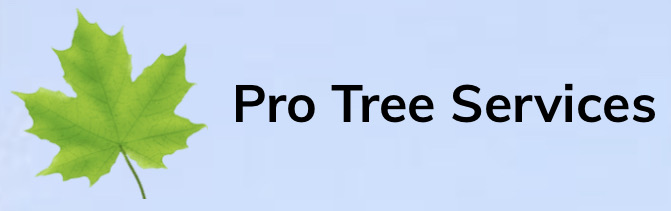 Flag Sponsorships - Pro Tree Services - Logo