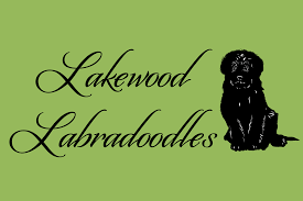 Hole Sponsors - Lakewood Labradoodles - Logo