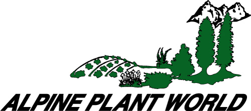 Alpine Plant World
