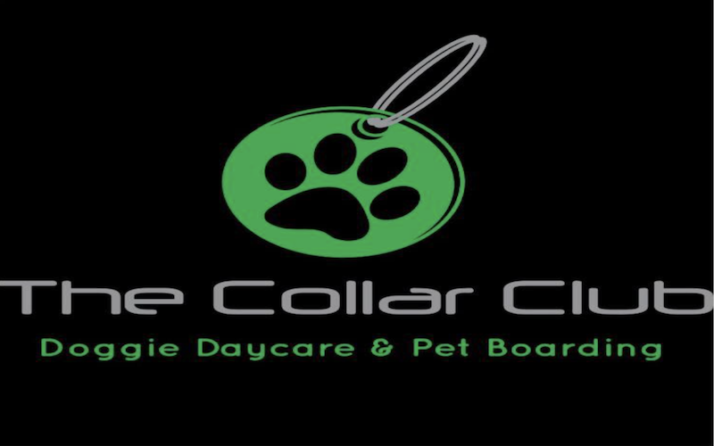 The Collar Club 