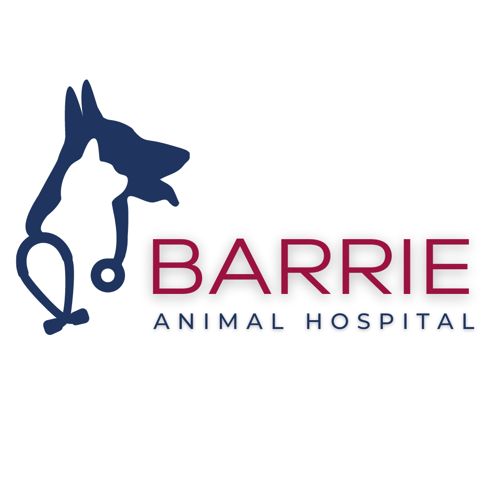 Media Sponsor - Barrie Animal Hospital - Logo