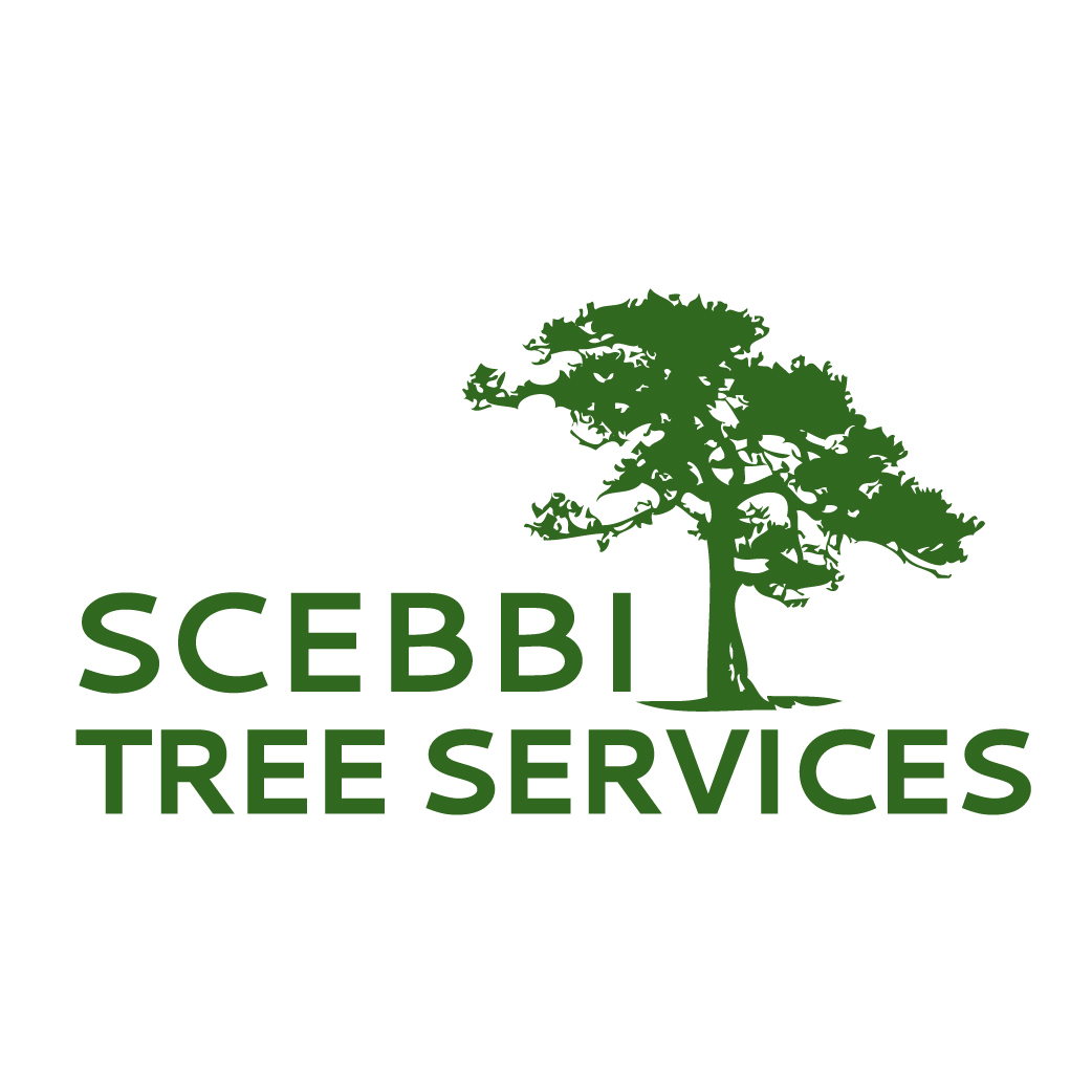 Hole Sponsor - Scebbi Tree Services - Logo