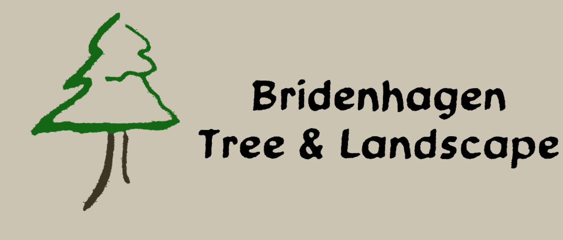 Flag Sponsorships - Bridenhagen Tree & Landscaping - Logo