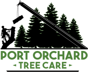 Port Orchard Tree Service