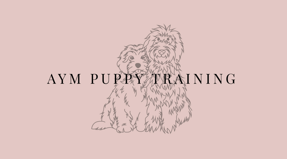 Hole Sponsor - AYM Puppy Training - Logo