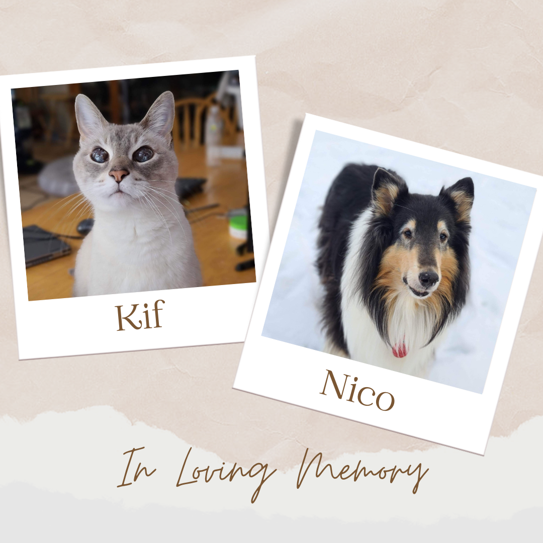 Closest to Line Challenge Sponsor - In Loving Memory of Kif & Nico - Logo