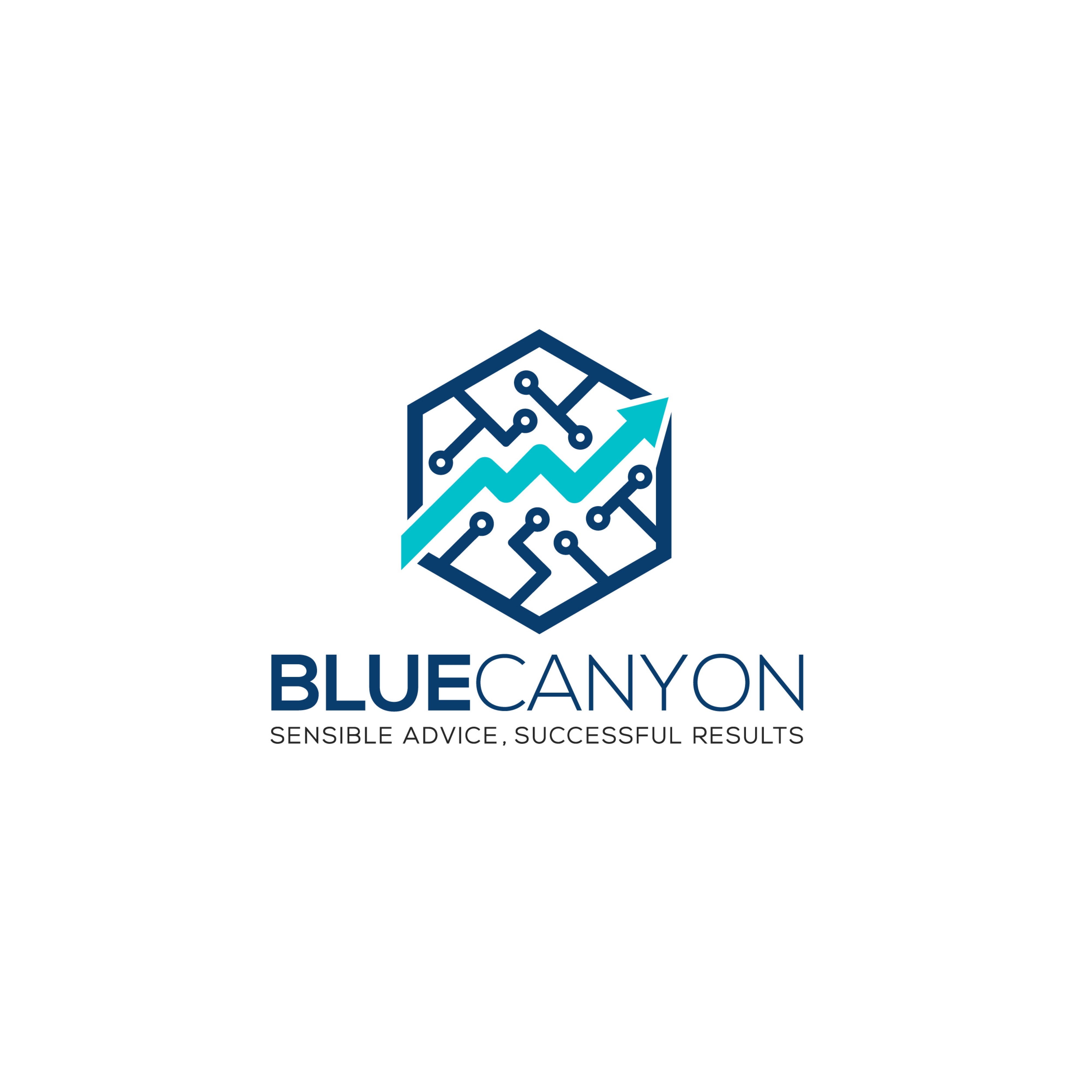Lunch Sponsor - Blue Canyon - Logo