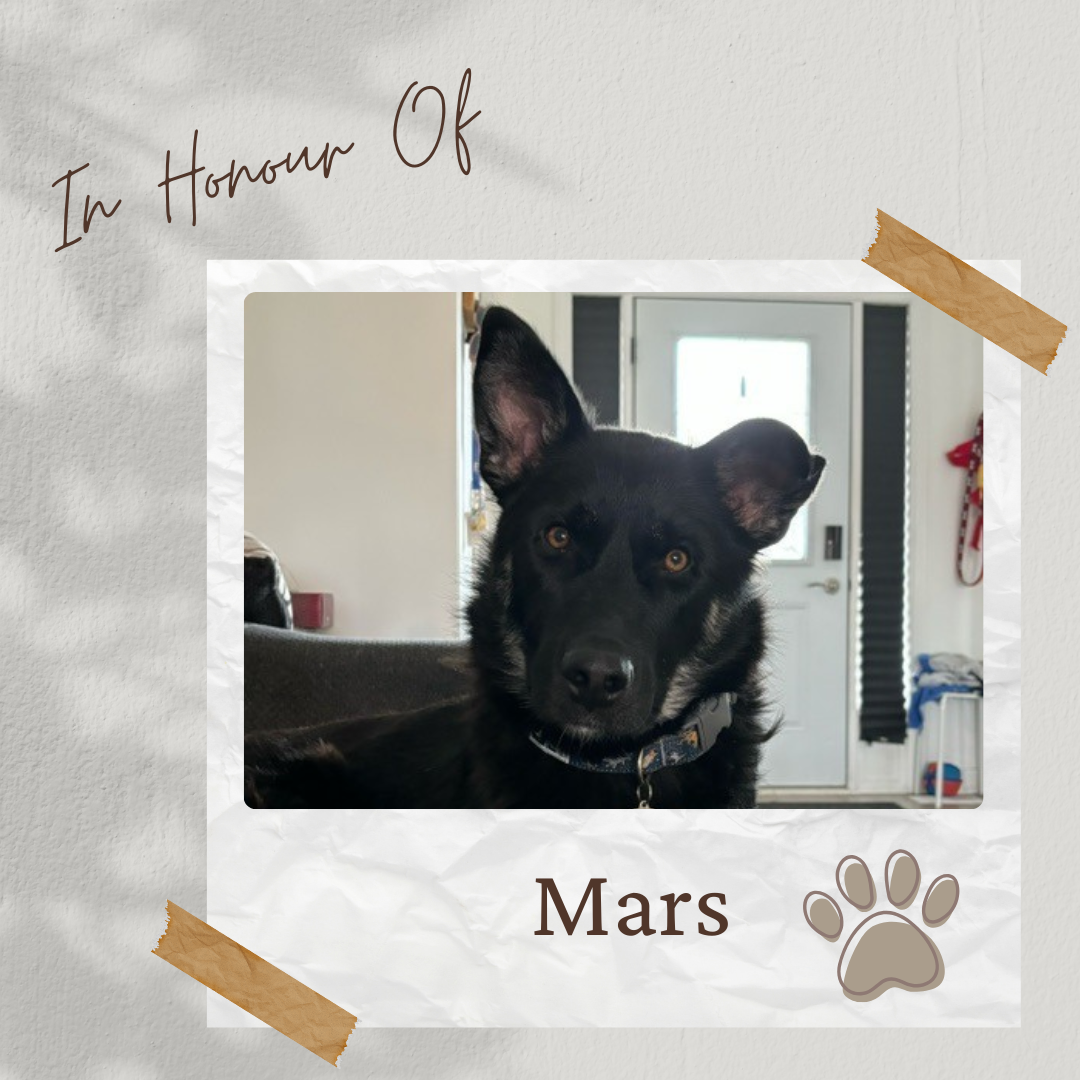 Tee Sponsor - In Honour of Mars - Logo