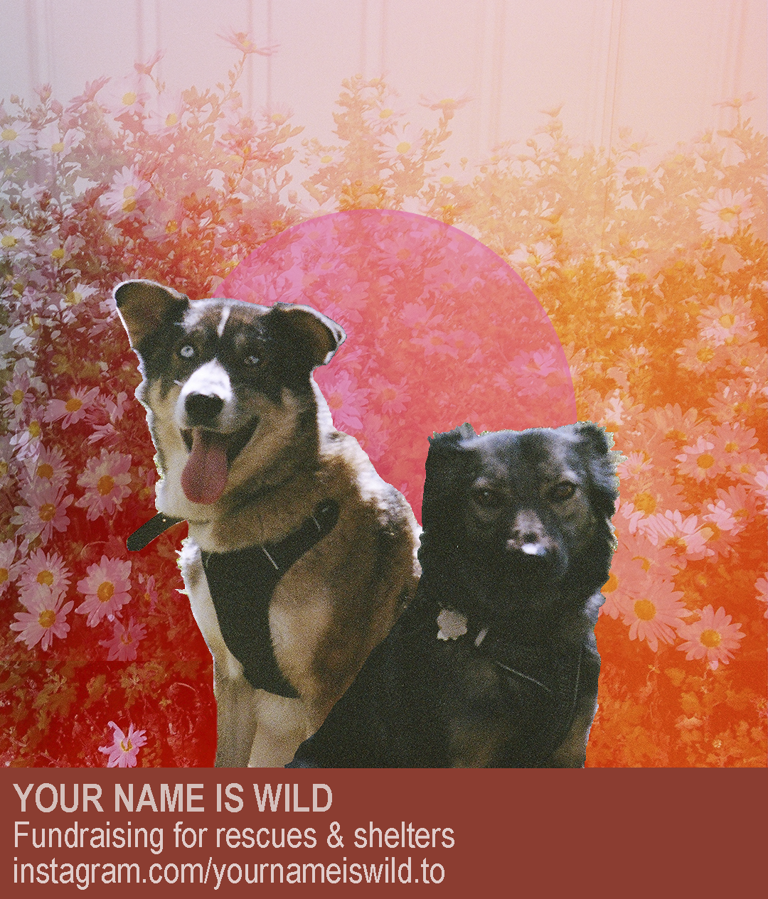 Hole Sponsor - Your Name Is Wild - Logo