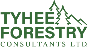 Tyhee Forestry
