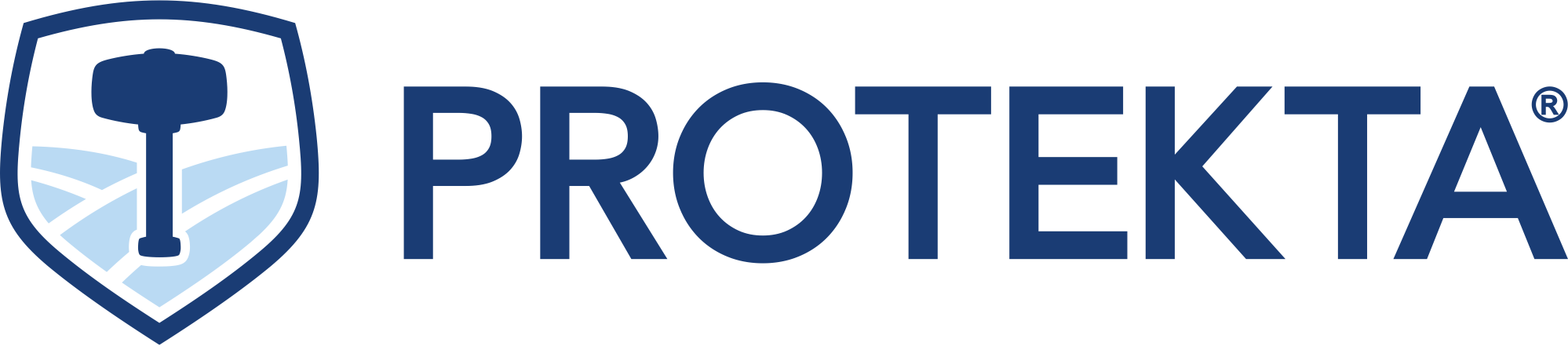 Hole Sponsors - Protekta - Logo