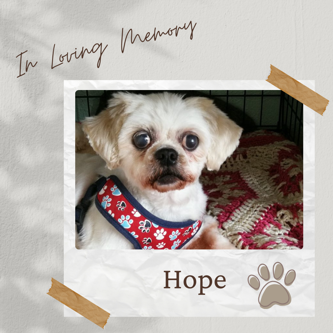 Tee Sponsor - In Loving Memory of Hope - Logo