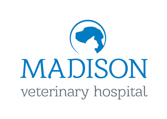 Madison Vet Hospital