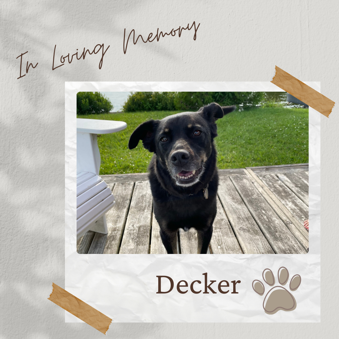 Hole Sponsor - In Loving Memory of Decker - Logo