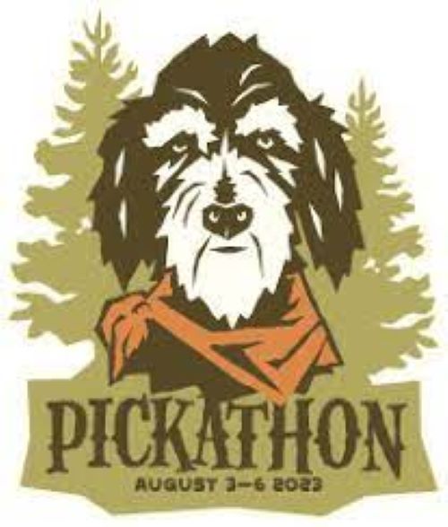 Hole Sponsors - Pickathon - Logo