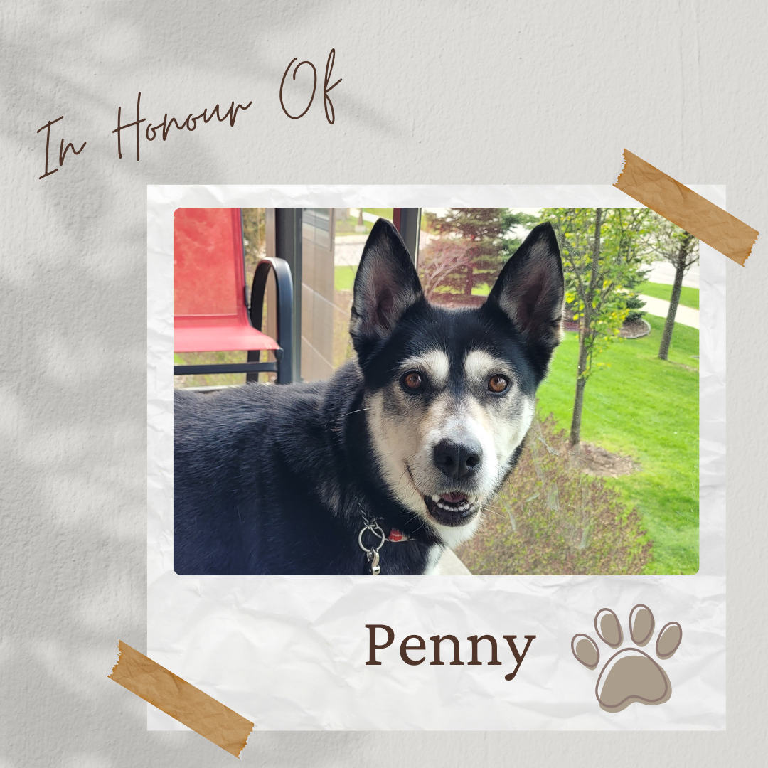 Tee Sponsor - In Honour of Penny - Logo