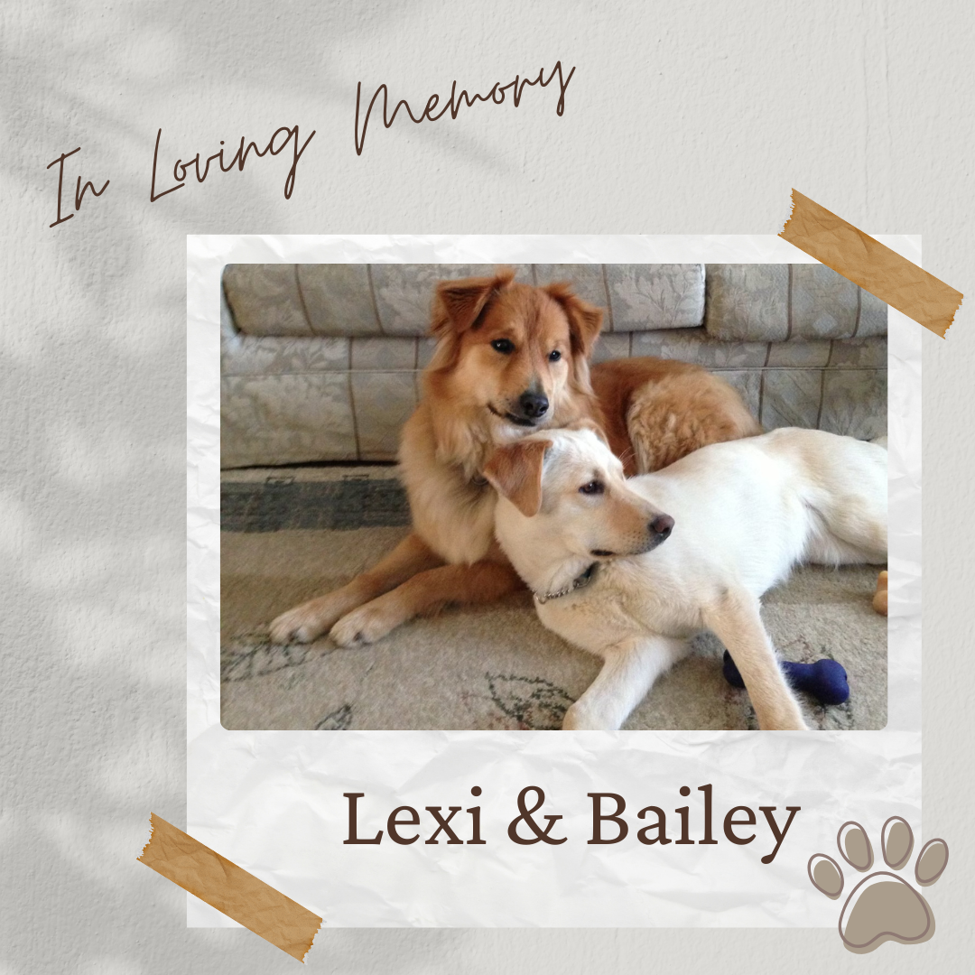 Hole Sponsor - In Loving Memory of Lexi & Bailey - Logo