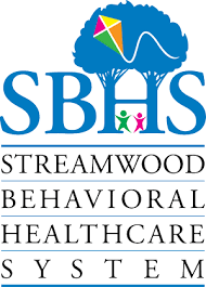 Visionary Sponsor - Streamwood Behavioral Health  - Logo