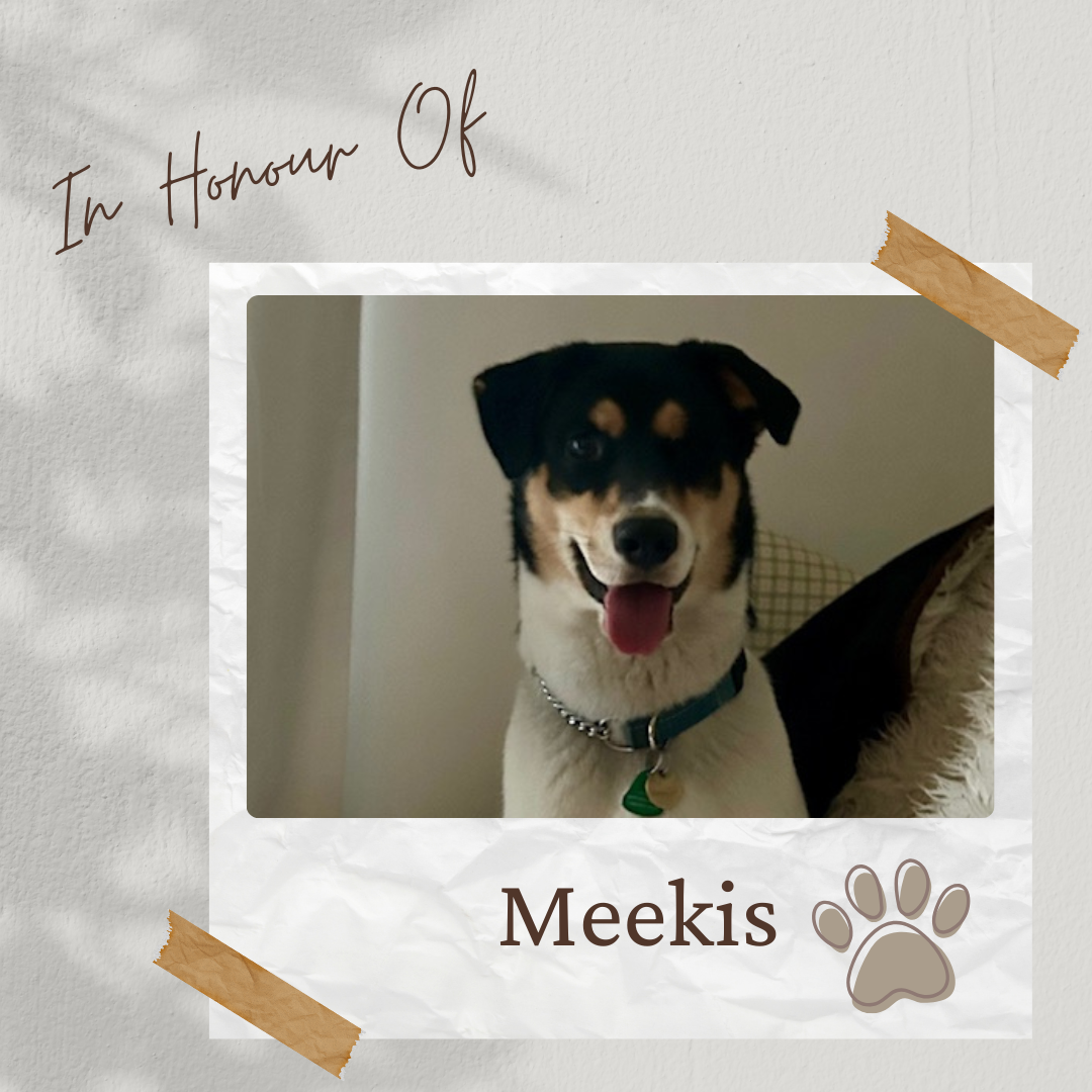 Tee Sponsor - In Honour of Meekis - Logo