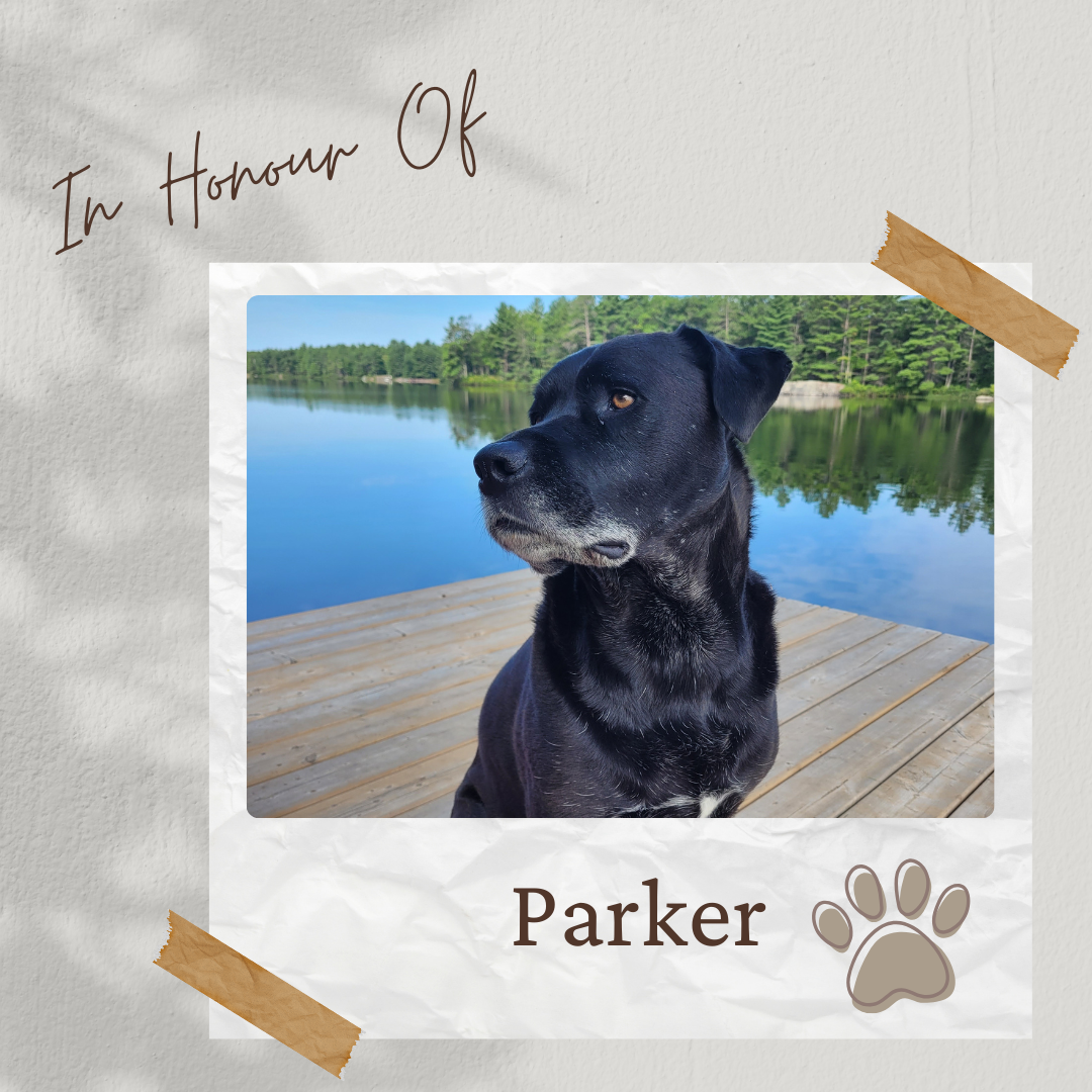 Tee Sponsor - In Honour of Parker - Logo