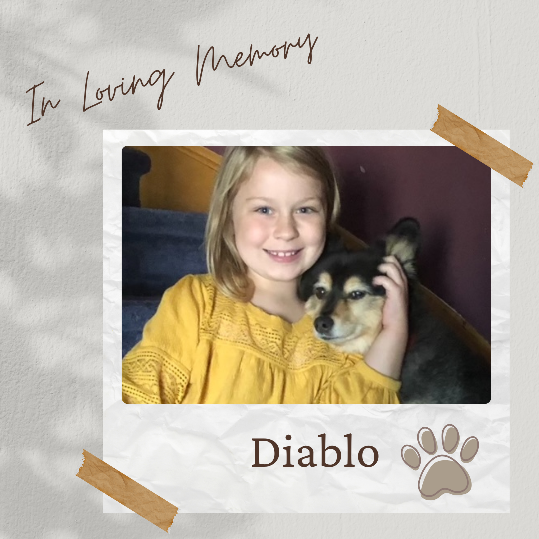 Tee Sponsor - In Loving Memory of Diablo - Logo